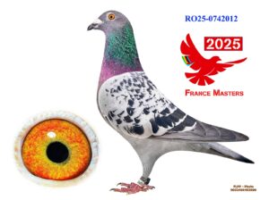 RO-25-742012