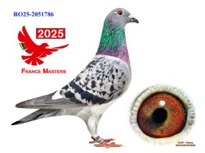 RO-25-2051786