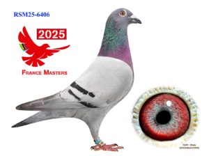 RSM-25-6406