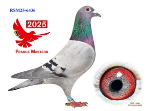 RSM-25-6436