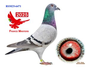 RSM-25-6471