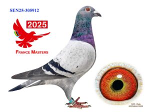 SEN-25-305912