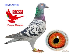 SEN-25-305922