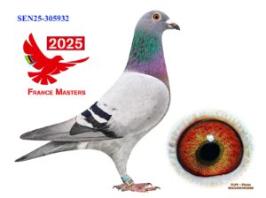 SEN-25-305932