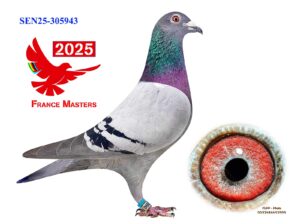 SEN-25-305943