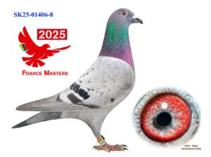 SK-01406-25-8