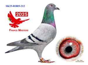 SK-01805-25-212