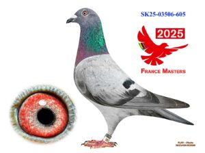 SK-03506-25-605