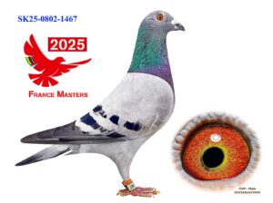 SK-0802-25-1467