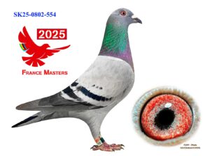 SK-0802-25-554