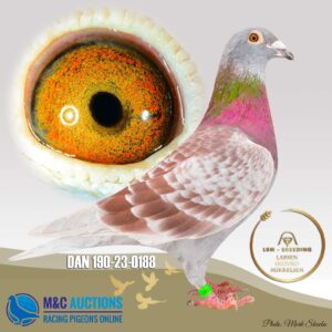 DAN-190-23-0188