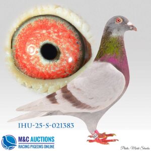 IHU-25-S-021383