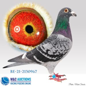 BE-21-2130967