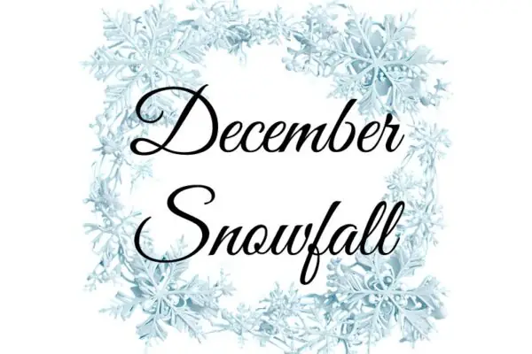 December Snowfall