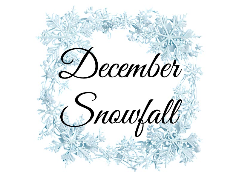 December Snowfall