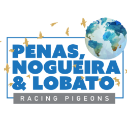 Team PNL (Penas, Nogueira & Lobato)