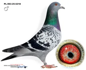 PL-063-25-5218