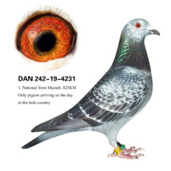 MISS MUNICH – 1. National Munich 2021 820 km