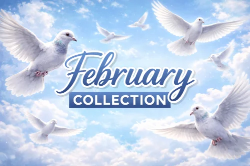 February Collection