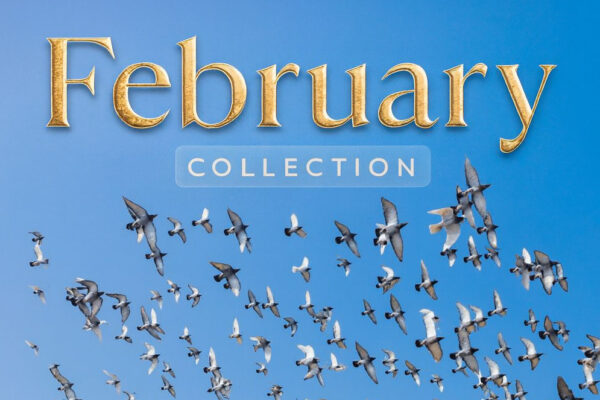 February Collection