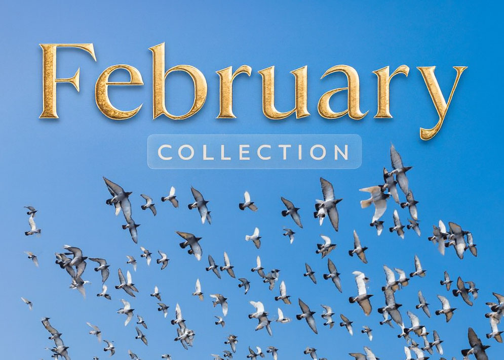 February Collection