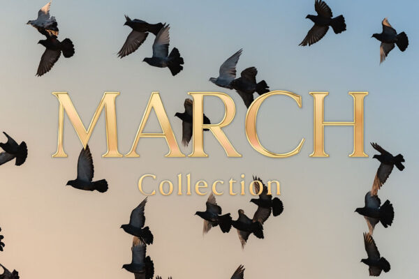 March Collection