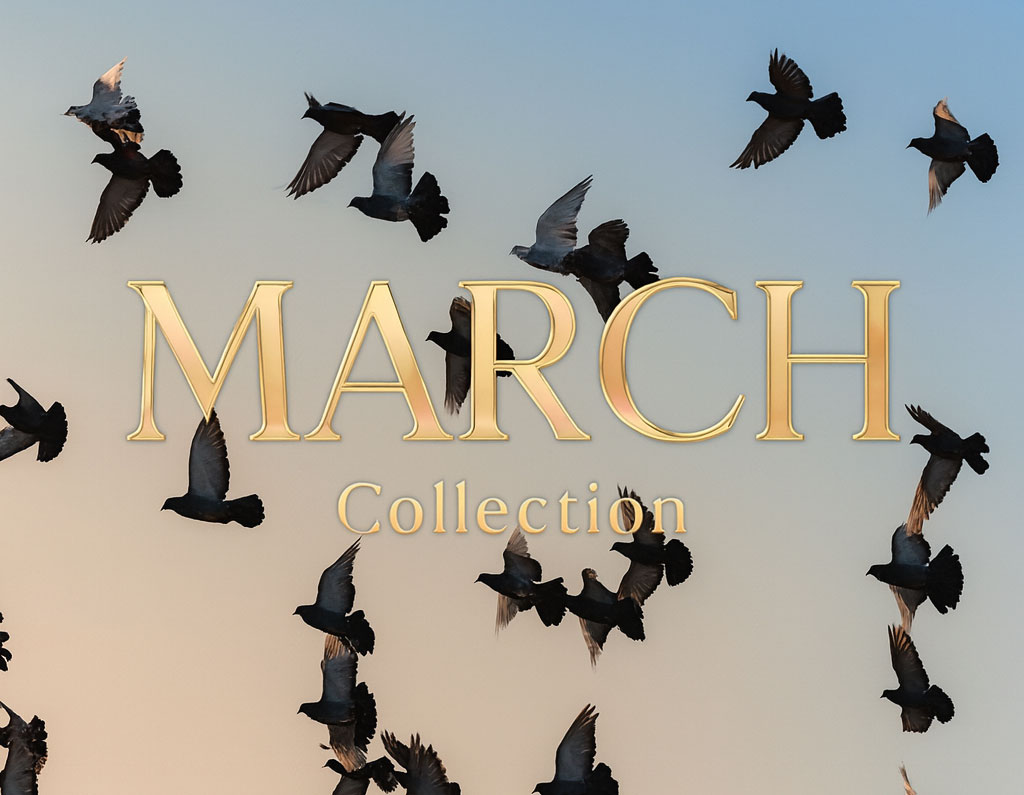 March Collection