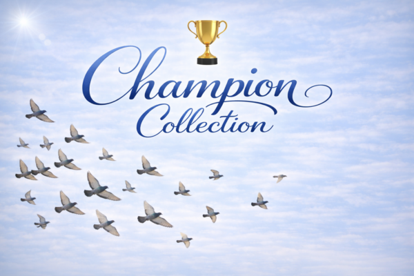 Champion Collection