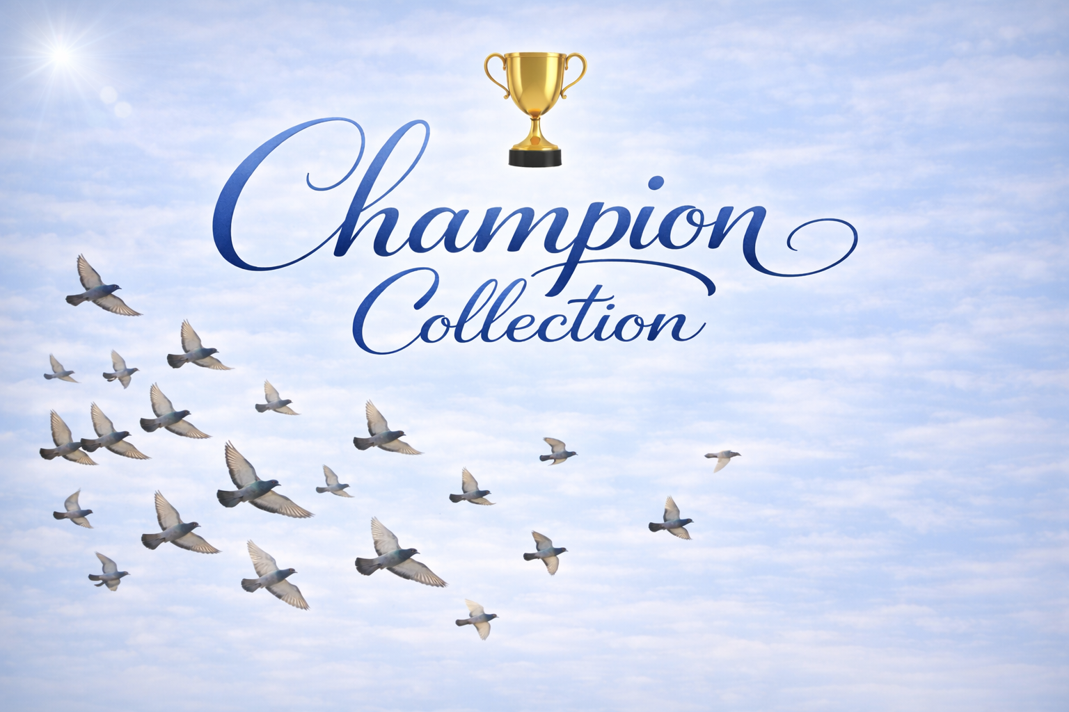Champion Collection