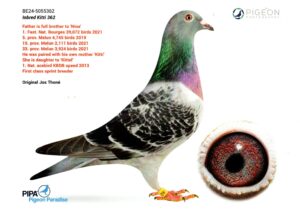 BE-24-5055362