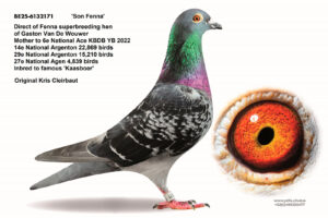 BE-25-6132171