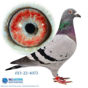 DAN-013-22-4073