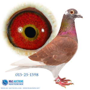 DAN-013-25-1398