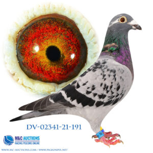 DV-02341-21-191