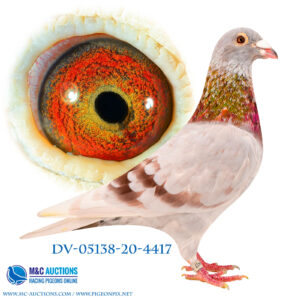 DV-05138-20-4417