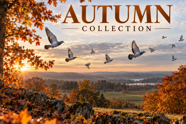 Autumn Collection