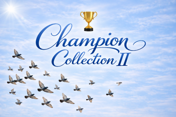 Champion Collection II