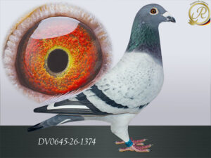 DV-00645-26-1374