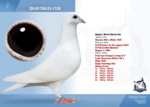 DV-01769-25-1330
