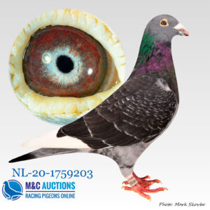 NL-20-1759203