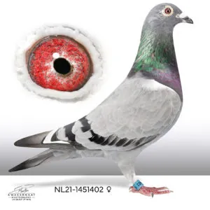 NL-21-1451402