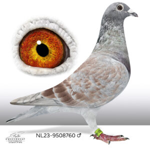 NL-23-9508760